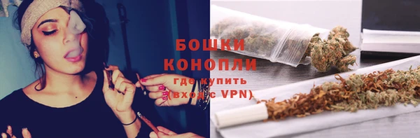 индика Покачи