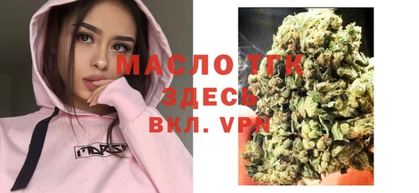 сатива Армянск