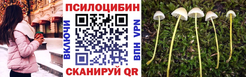 Псилоцибиновые грибы мицелий  Баймак 